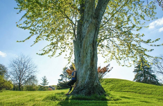 MINUTES FROM QUAD CITY INTERNATIONAL AIRPORT