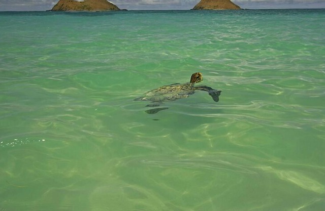 Minutes to Largest,Bluest Swimming Pool on the Planet, Amazing Hiking