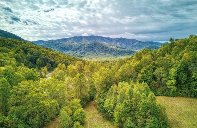 Misty Cove Cabin -Pickleball Court, Creek, WIFI, Mountain Views, No Cleaning Fee