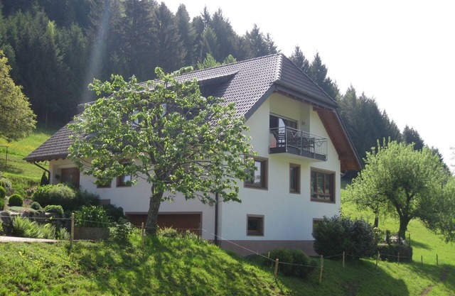 Mockhof - Bachhüsliblick