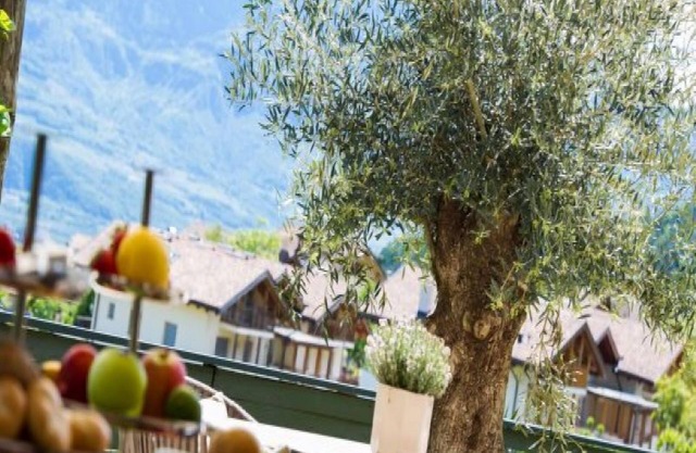 Modern Apartment "App. Gewürztraminer" with Mountain View and shared pool