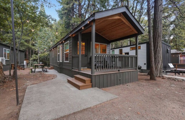 Modern Cabin - (Elm)