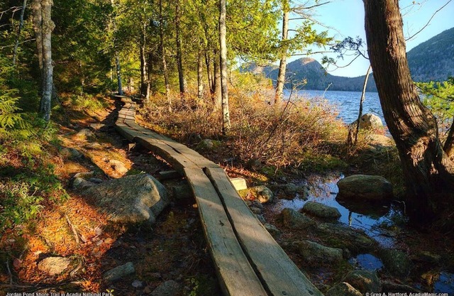 Modern Flat near Bar Harbor, Ocean Beach and Carriage Paths