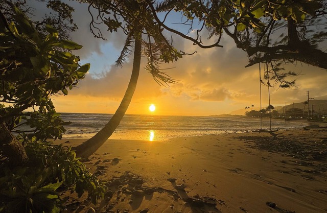 Modern Oceanfront Cottage