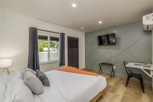 Modern Studio #11 - Food Trucks & Mins to CDA Lake