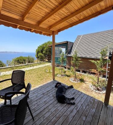 MOLA Bungalow