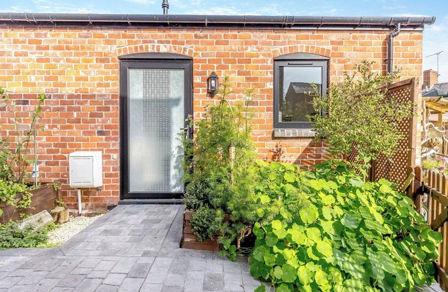 Molly Veroni - UK43592