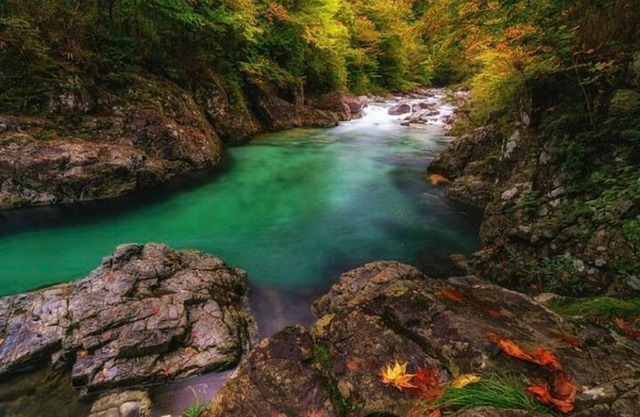 Monroe!Spacious pad,Treehouse Vineyards,Fun,Relax!