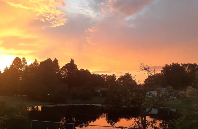 Monterey Suit at Citrus Park