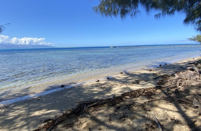 MOOREA - Naku Kahi Bungalow 4 BeachView