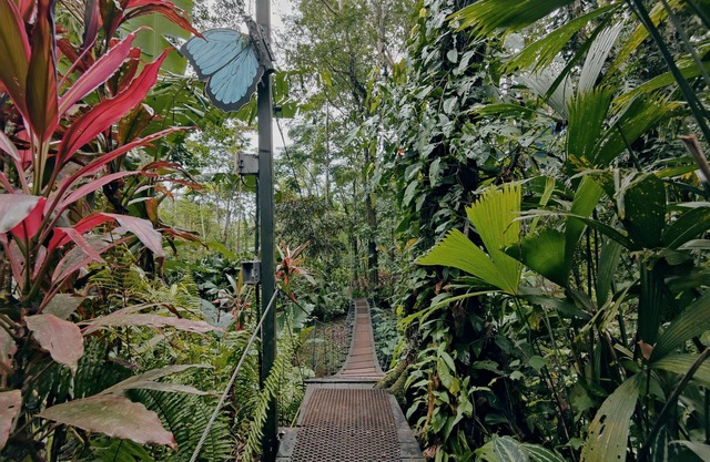 Morpho - adventurous Treehouse with amazing 360 view with pool and wifi access