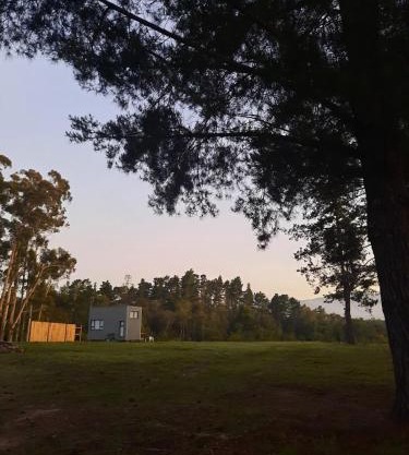 Mountain view Bespoke tiny home