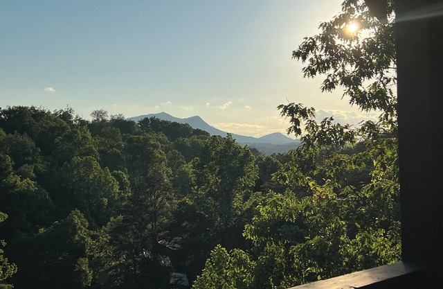 MountainView!1miletoPkwy!2Pools!HotTub!TheaterRm!PoolTable!Arcade!Shuffleboard!