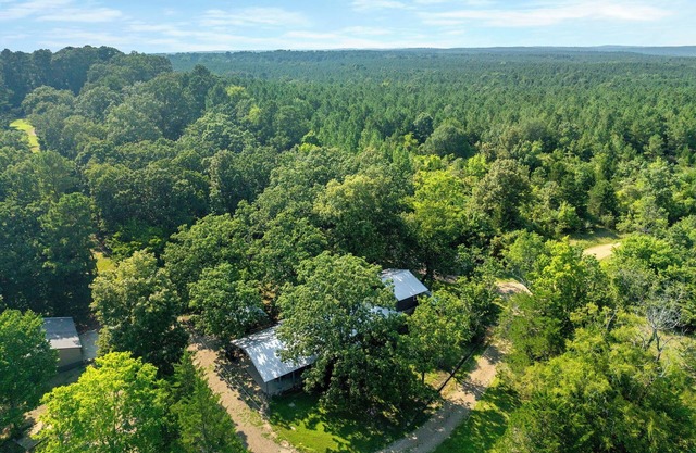 Mt.Fork Hideaway, LowerMt.ForkRiver, 4BD|2BTH|SLPS 10 Pickleball, Hot Tub