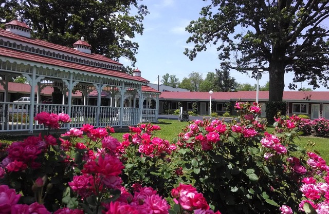 Murray Inn and Art Gallery