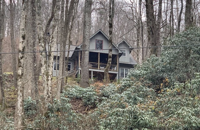 Nantahala River front cabin adjoining National Forest