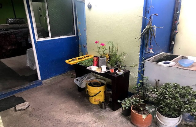 natural environment, neighbourhood surrounded by forest