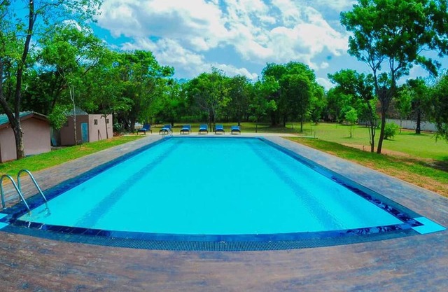 Nature Friendly Tree House Accommodation Near Sigiriya