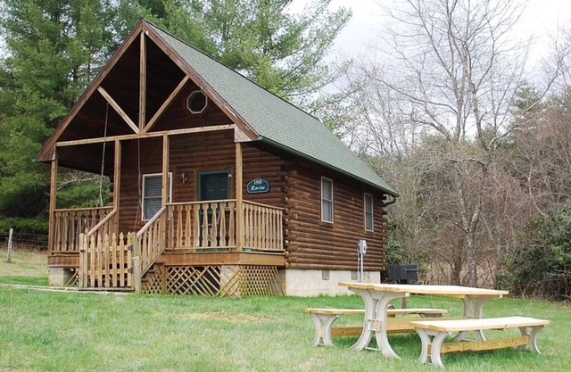 Near Blue Ridge Parkway, Pet Friendly Cabin w/WIFI & Pond Views, Gas Frpl