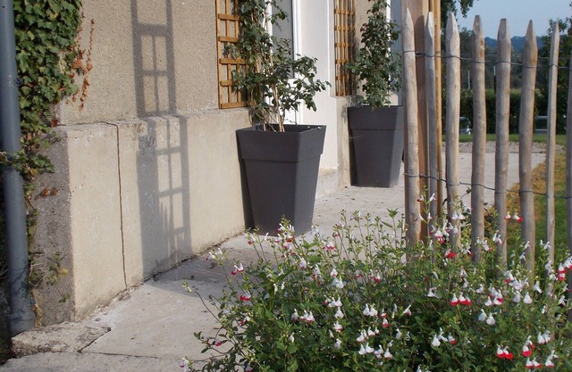 NEAR WIMEREUX LODGE LARGE CAPACITY 21 PERS IN PEDAGOGICAL FARM