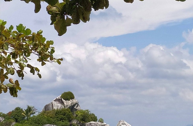 Near Zoo, Arena, and OAK Airport !