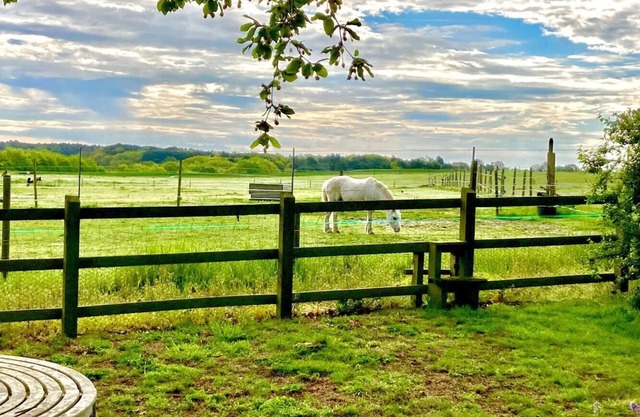 Nestled between Southwold and Walberswick- The Nest