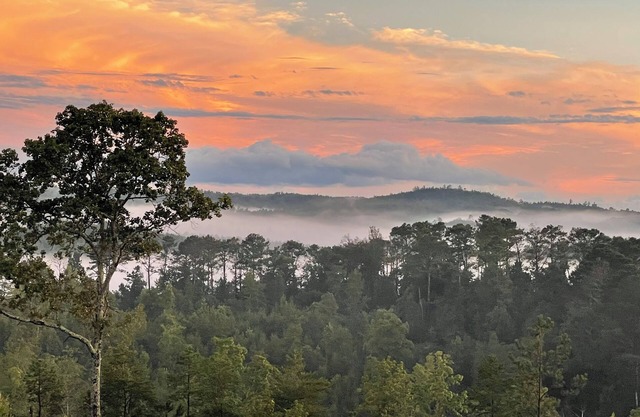 New guest house w/awesome view, across from Ladiga bike trail, close to ATV park