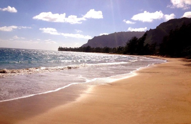 New Oceanfront! Fully equipped 1bed/1bath apt on the beach in Punaluu