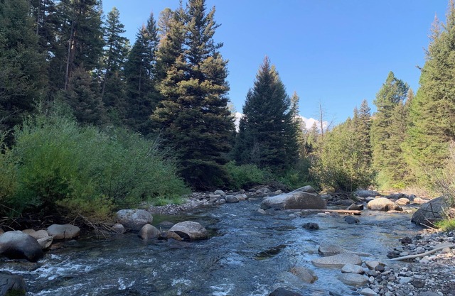 NEW! On Bear Creek~ Treed Seclusion~ Serene~ 4 Living Rooms~ 4 Miles to Gardiner