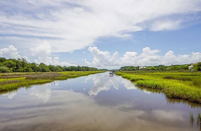 NEW Waterfront, private dock, fully updated Johns Island home