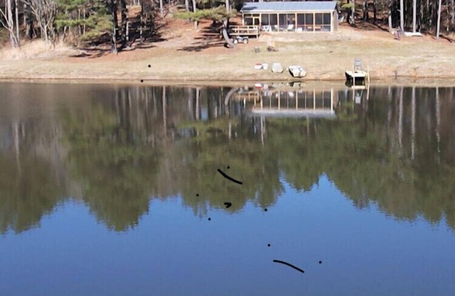 Newly Built Cabin with a 2.5 acre Lake on 120 Acres of Private Land