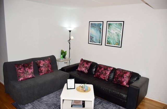Nice and Cozy apartment in Oslo Central- 2Bedrooms