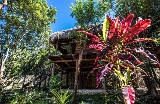 Nice wood cabin in the Mayan jungle