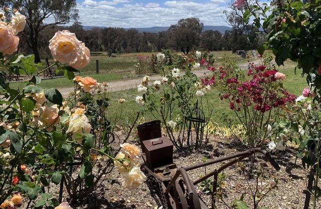 No longer listing property: Do not book. We need to honour current bookings.