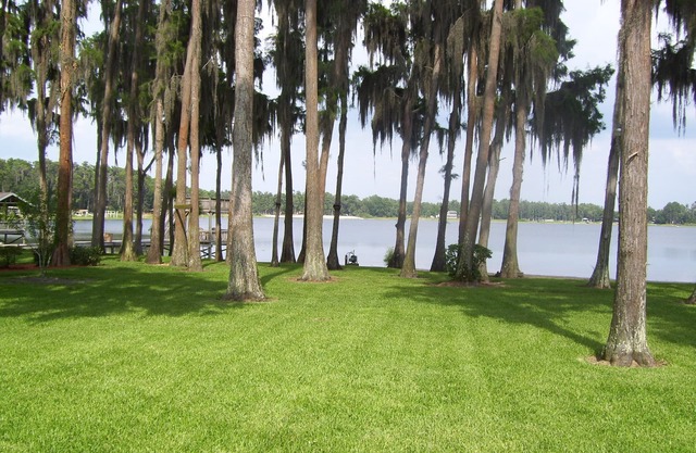 'No Place Like Home' Welcome To The Lake