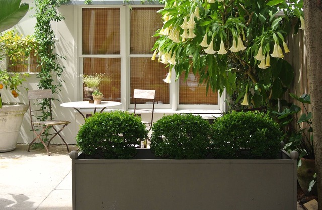 Nola Cottage - Safe, Convenient Area/Sleeps 3/Brand New Bath/Walk To Tulane