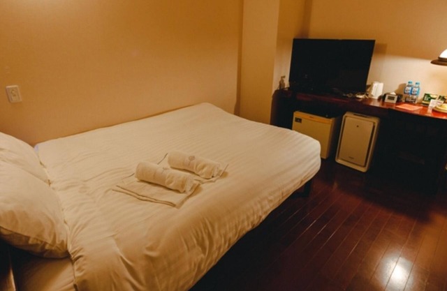 Nonsmoking Double Installation of Mirable Plus/Aira Kagoshima