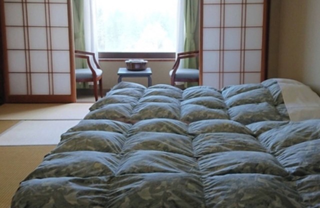 North Wing Tatami Bedroom Nonsmoking One nigh/Toyama Toyama