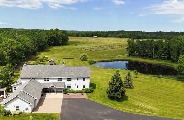 Northern Vineyard Estate: Luxurious Home & Endless