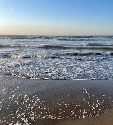 Novkhani Garden by the beach