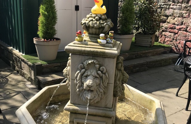 Number 61 Guest House and Tea Room