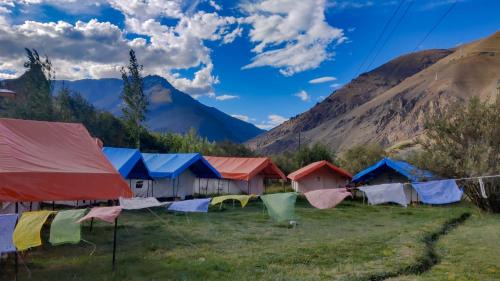 Nunkun Camp Shargole