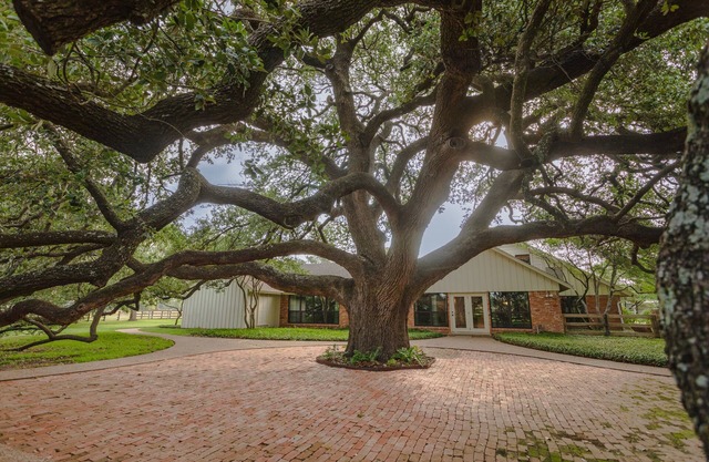 Oak Tree Manor w/Pool
