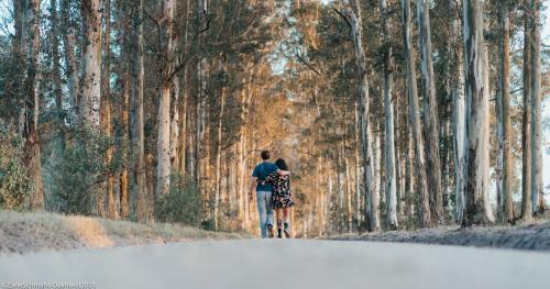 Oakhurst Farm Cottages