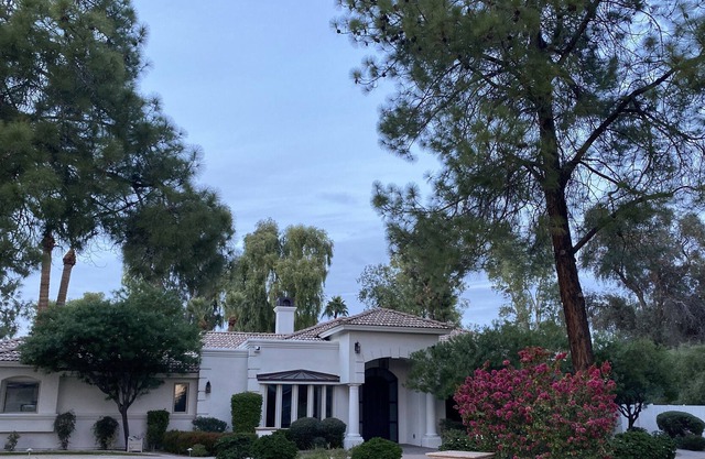 Oasis in Central Scottsdale