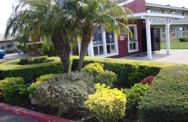 Oasis Inn Sacramento - Elk Grove