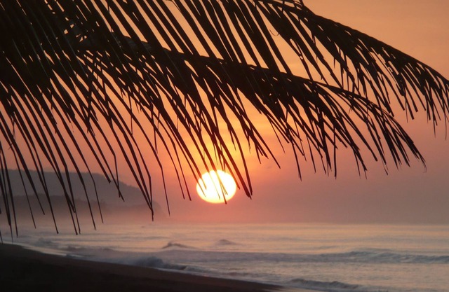 Ocean front beach home, lagoon sunrise, Corcovado sunset, wildlife, kayaks, WIFI