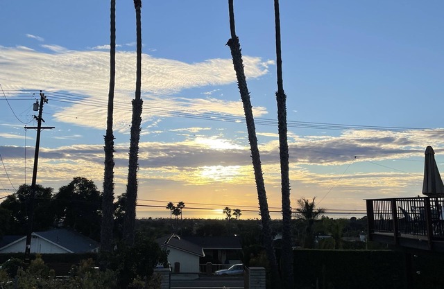 Ocean View, Luxury Mid-Century in North County San Diego