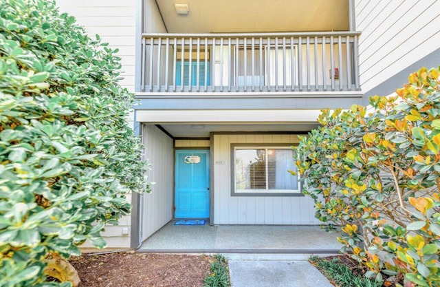 Oceanfront 3BR Condo with Shared Pool! Sea Cloisters I 105B