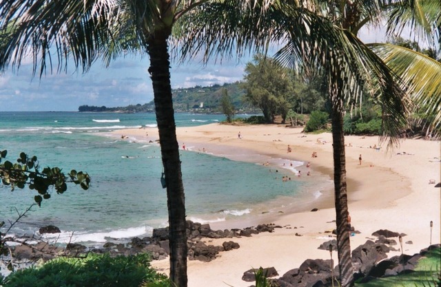 Oceanfront Beach House - Tropical Paradise!
